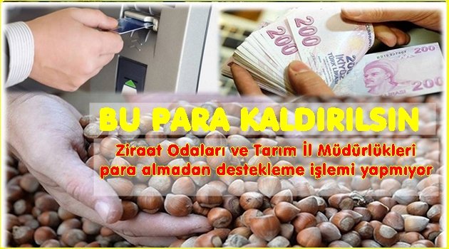 FAKIBABA BU UYGULAMA DEĞİŞSİN ÇİFTÇİ KAZANSIN