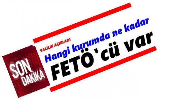 FETÖ HANGİ KURUMLARDA YUVALANDI