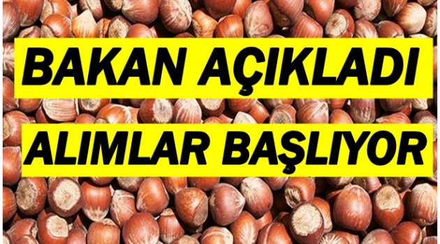 FINDIĞA 10 LİRA FİYAT