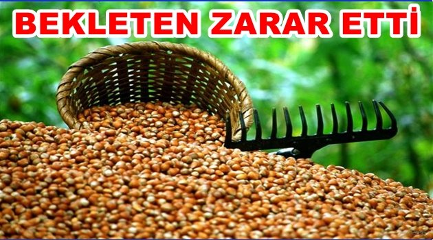 FINDIĞI BEKLETEN CEPTEN YEDİ