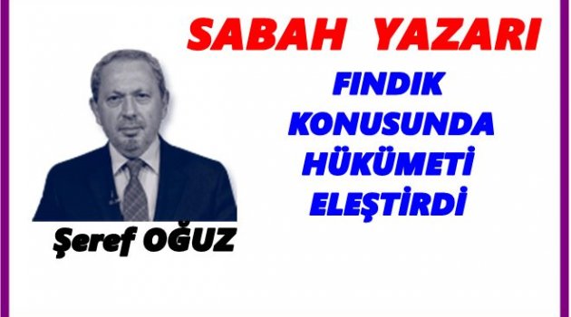 FINDIĞIN AKTÖRLERİ