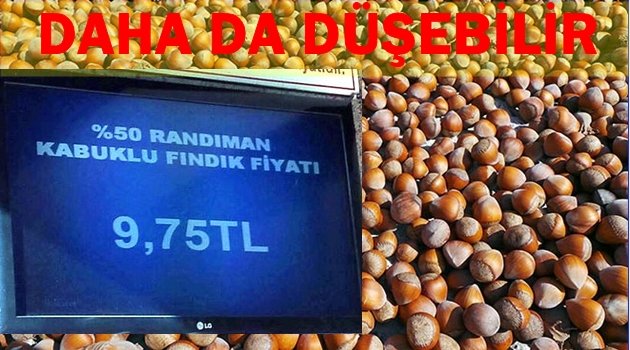 FINDIK 10 TL&#039;NİN ALTINA İNDİ