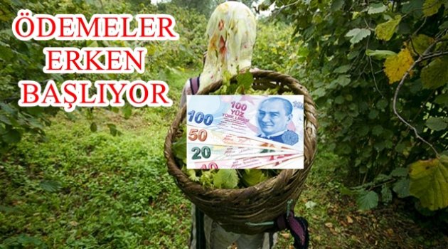FINDIK DESTEKLEME ÖDEMELERİ BAŞLIYOR