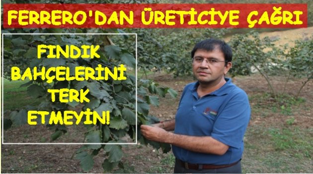 FINDIK DEVİ ÜRETİCİYİ UYARDI