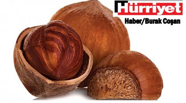 FINDIK ELDEN GİDİYOR