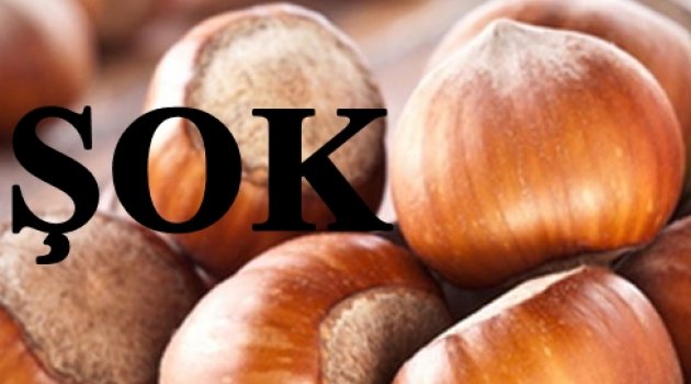 FINDIK FİYATI DÜŞÜŞE GEÇTİ