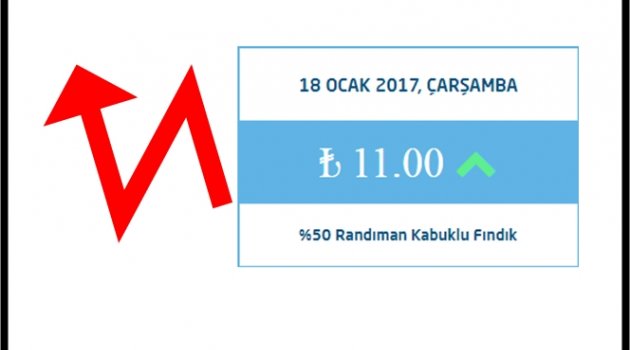 FINDIK FİYATI KAÇ LİRA OLDU?