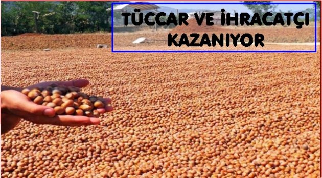 Fındık fiyatını düşüren ekip kendini ele verdi