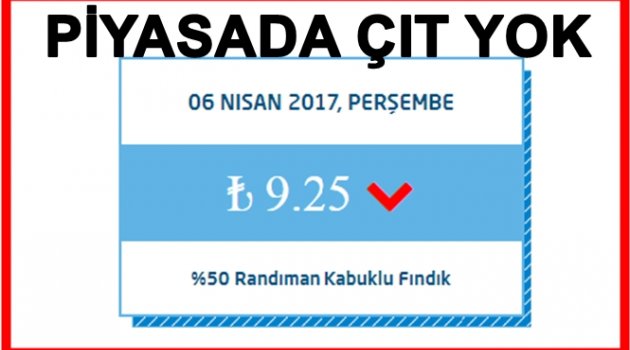 FINDIK FİYATLARI DİBE VURUYOR