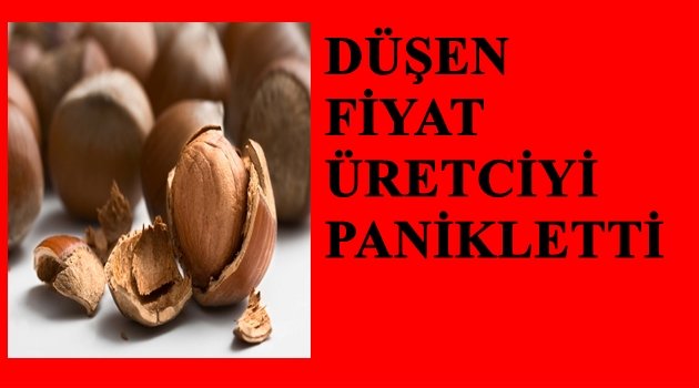 FINDIK FİYATLARI NEDEN DÜŞÜYOR