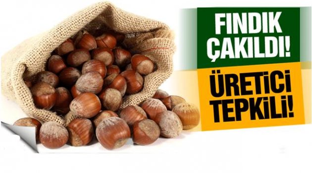 FINDIK FİYATLARI NEDEN DÜŞÜYOR?