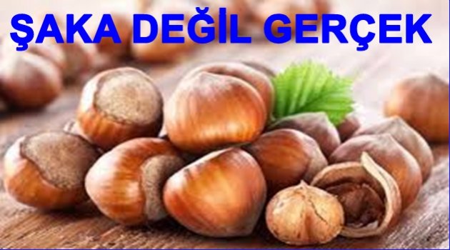 FINDIK FİYATLARI YÜKSELİYOR