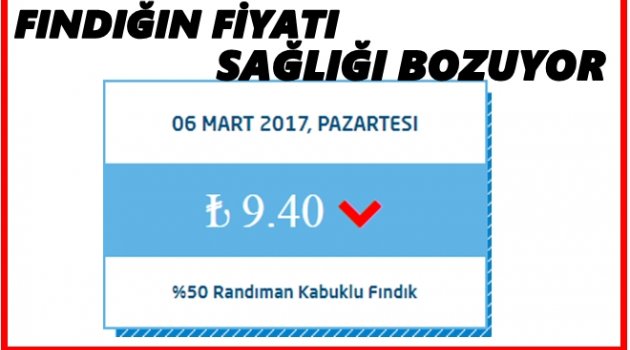 FINDIK FİYATLARINA ÇARE BULANAMIYOR