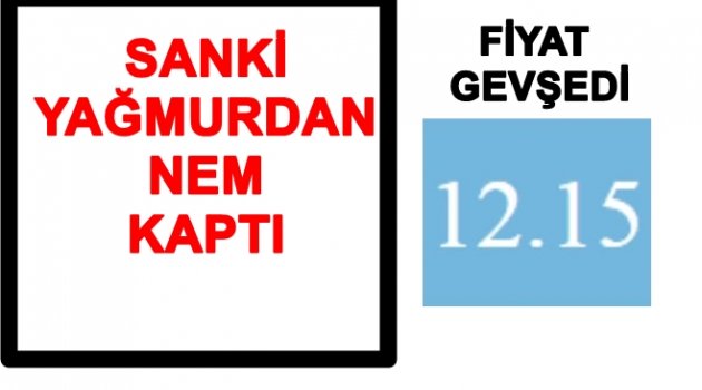 FINDIK FİYATLARINDA DALGALANMA BAŞLADI