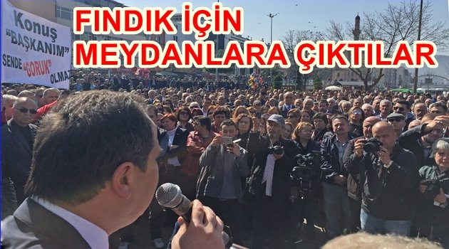 FINDIK İÇİN MİTİNG DÜZENLENDİ