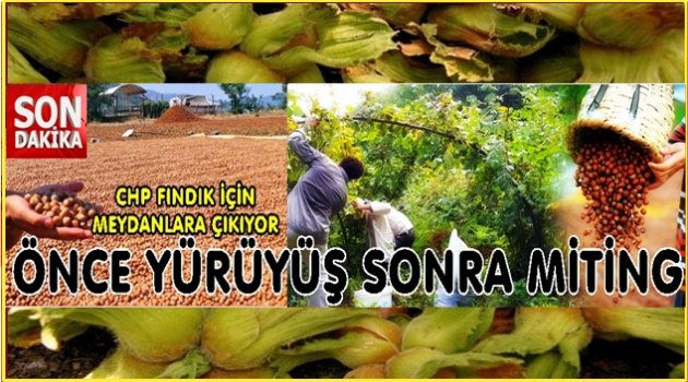 FINDIK İÇİN ORDU&#039;DAN GİRESUN&#039;A YÜRÜYECEKLER