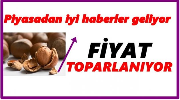 FINDIK KAÇ LİRA OLDU?