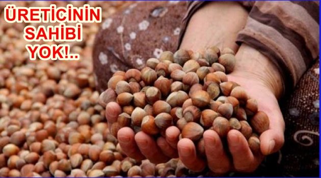 FINDIK KAÇ LİRAYA DÜŞTÜ!