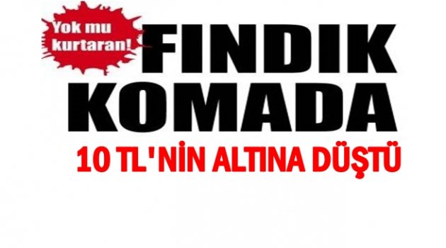 FINDIK PİYASASI KARIŞTI FİYATLAR DÜŞTÜ