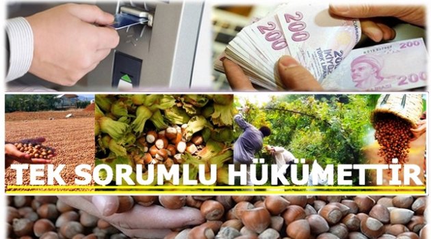 FINDIK TBMM GÜNDEMİNDE