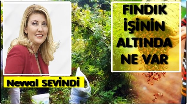 FINDIK TEKELLEŞME KURBANI