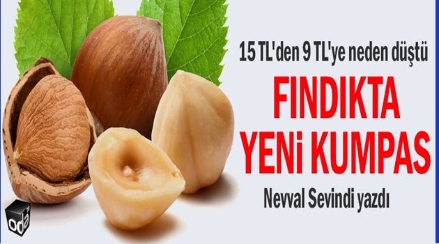 FINDIK ÜRETİCİSİ İTALYANA MI TESLİM