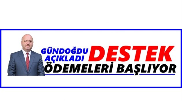 FINDIK ÜRETİCİSİNE 300 MİLYON LİRALIK DESTEK