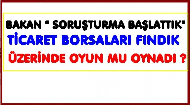 FINDIK ÜZERİNDEKİ OYUN ORTAYA MI ÇIKIYOR?