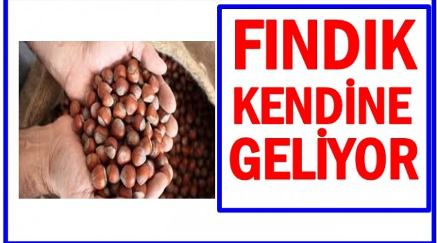 FINDIK YÜKSELİŞE GEÇTİ