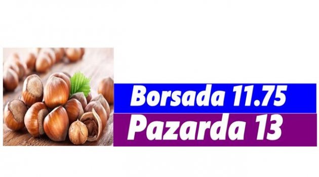 FINDIK YÜKSELİŞTE