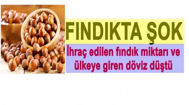 FINDIKÇININ UMUDU ÇİN OLDU