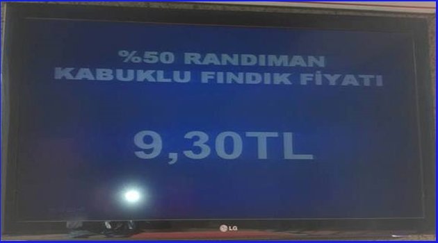 FINDIKTA AZ DA OLSA YÜKSELME VAR