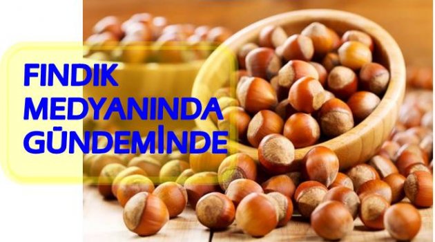 FINDIK FİYATINDAKİ  DÜŞÜŞ ENDİŞE VERİYOR