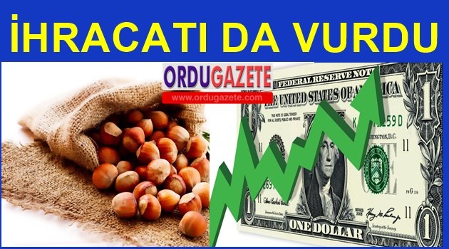 FINDIKTA GELİR DÜŞTÜ