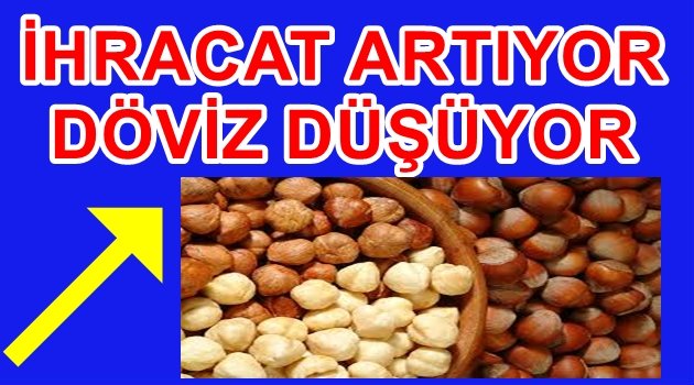 FINDIKTA GELİR DÜŞTÜ