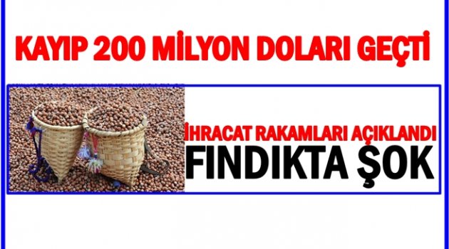 FINDIKTA HEM ÜRETİCİ HEM DE İHRACATÇI KAYBEDİYOR