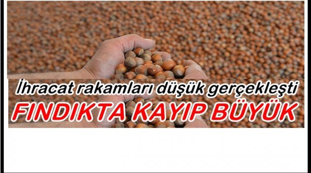 FINDIKTA HEM ÜRETİCİ HEM DE ÜLKE KAYBEDİYOR