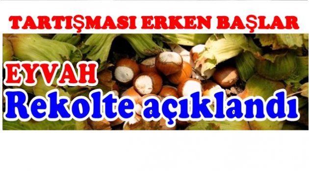 FINDIKTA REKOLTE NE KADAR AÇIKLANDI