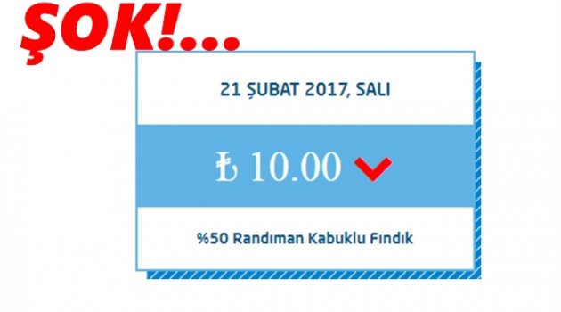 FINDIKTA ŞOK! FİYATLAR DÜŞÜYOR