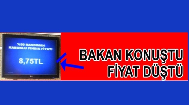 FINDIKTA ŞOK YAŞANIYOR