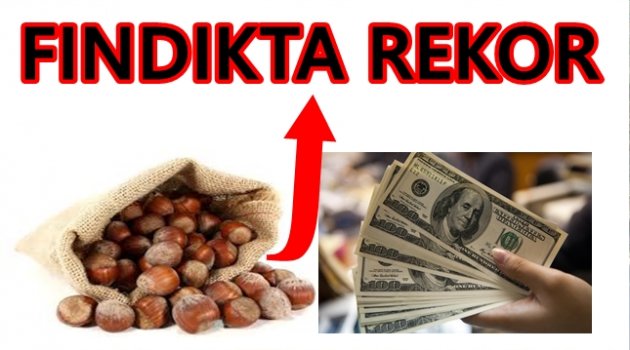 FINDIKTA TÜM ZAMANLARIN EN YÜKSEK DÖVİZ GİRDİSİ SAĞLANDI