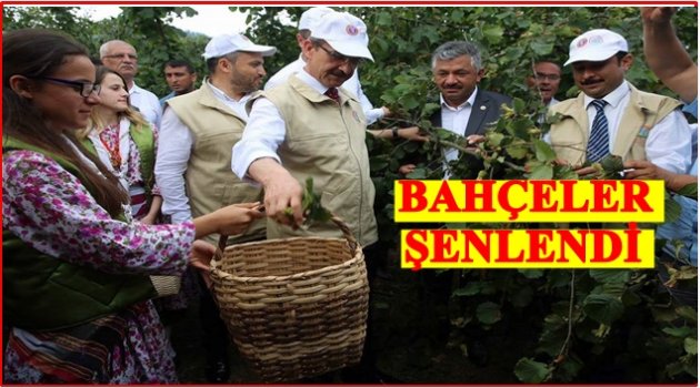 FINDIKTA YENİ BİR PROJE BAŞLIYOR