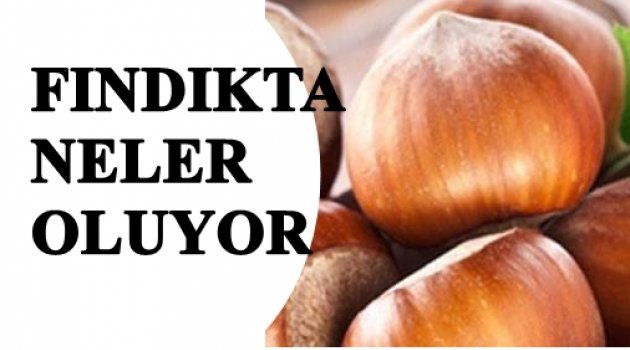 FİYATLAR TEPETAKLAK