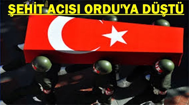 GEÇİCİ GÖREVLE GİTMİŞTİ ŞEHİT DÜŞTÜ