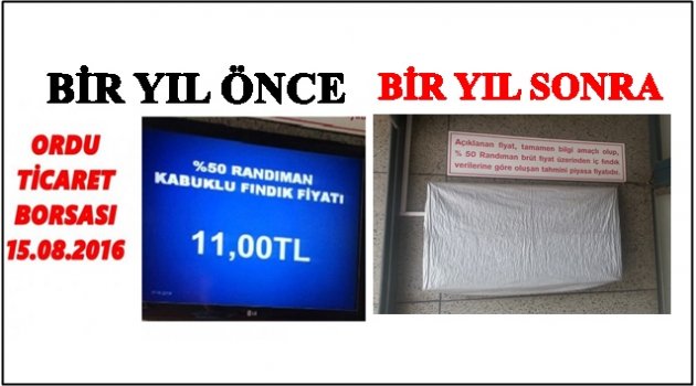 GÖZLER BORSA&#039;DA