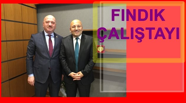 GÜNDOĞDU&#039;DAN ÇALIŞTAY TEKLİFİ