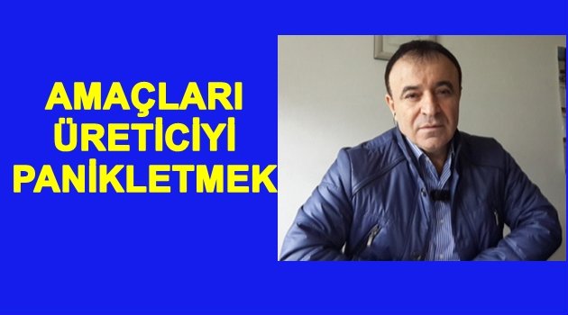 GÜNEY FINDIKTA  DÜŞÜŞÜN ARKA PLANINI AÇIKLADI