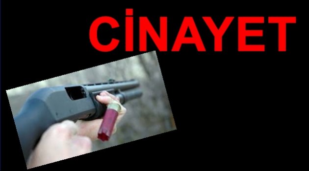 GÜRCÜ VATANDAŞINI KİM ÖLDÜRDÜ