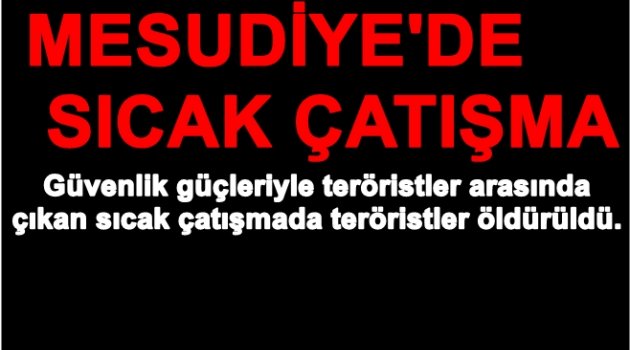 GÜVENLİK GÜÇLERİ BİR GRUP TERÖRİSTİ İMHA ETTİ