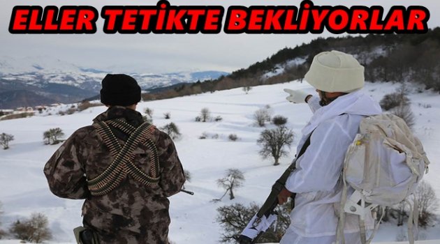 GÜVENLİK GÜÇLERİ MESUDİYE&#039;DE ALARMA GEÇTİ